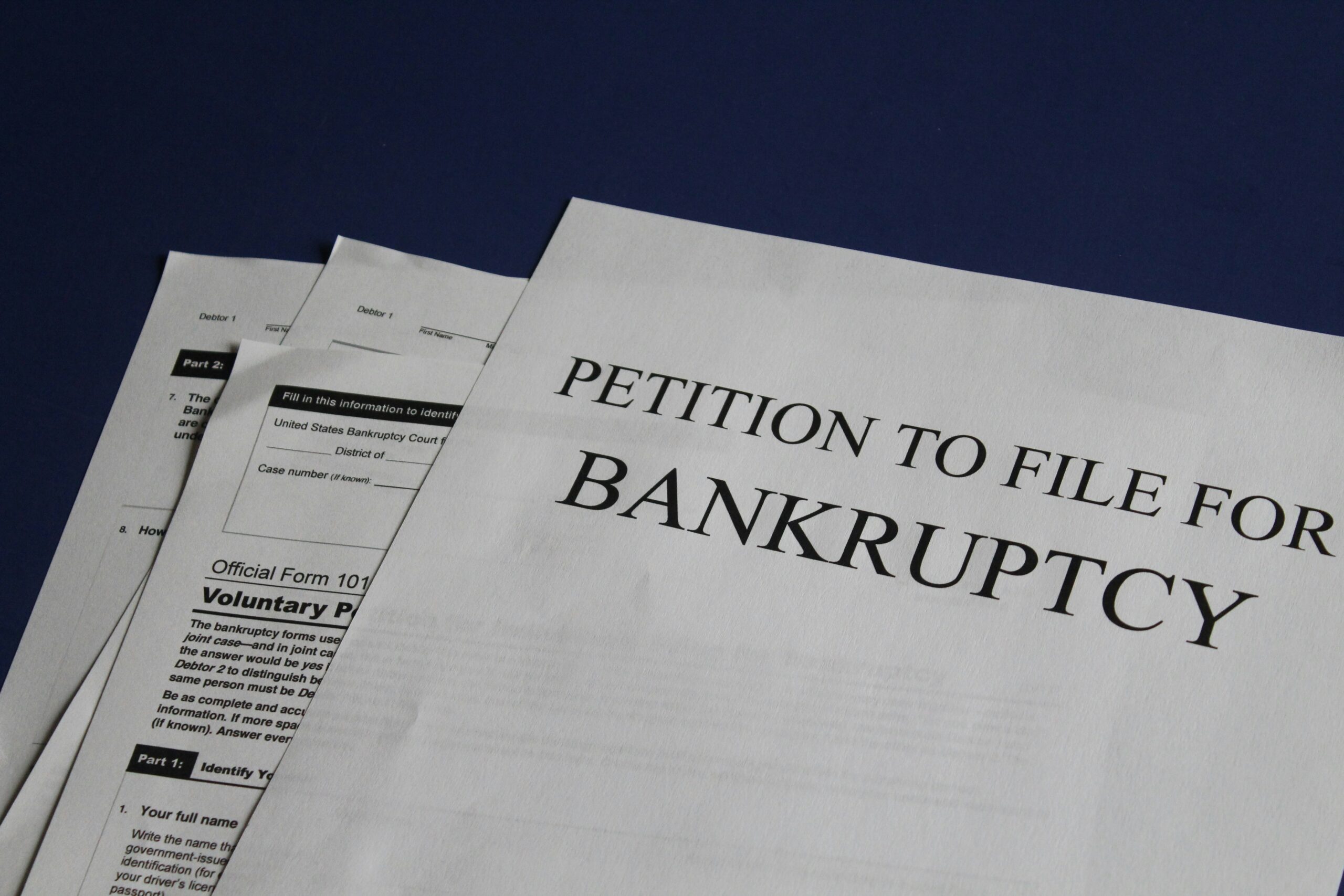 what is a bankruptcy petition